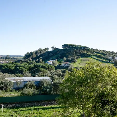 Big House With Pool Close To Sintra فيلة Terrugem